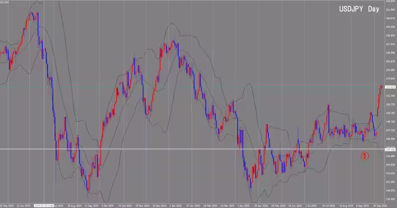 दैनिक चार्ट
